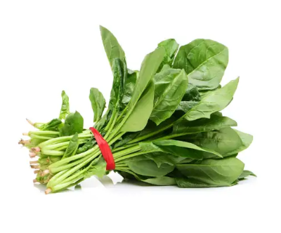 저혈압 증상과 원인&amp;#44; 저혈압에 좋은 영양제