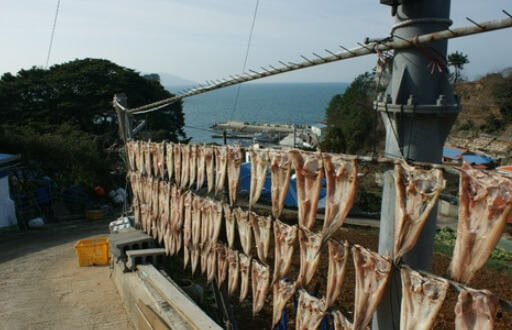 6시 내고향 통영 추도 반건조 생선 택배 주문 및 숙박예약 방법 윤성호추도물메기 (추도 배편 예약 방법)