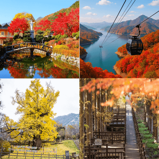 충북단풍명소-썸네일