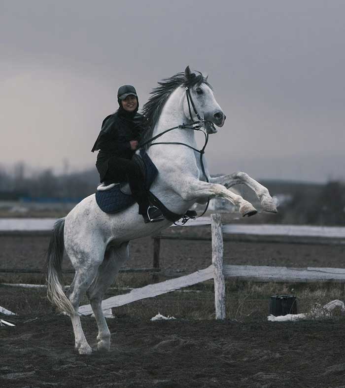 말 조련사 이미지