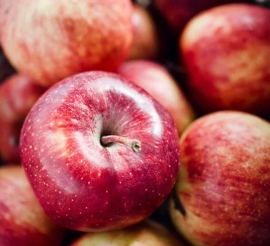 사과 다이어트 효능 및 부작용