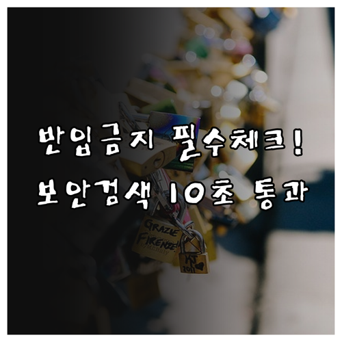 동계올림픽 응원 도구 제한 및 보안 ..