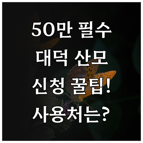 2025년 대덕구 산모회복비 50만원..