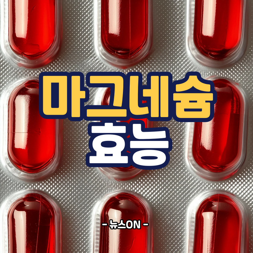마그네슘 효능