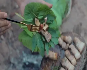 영양 산나물축제_9