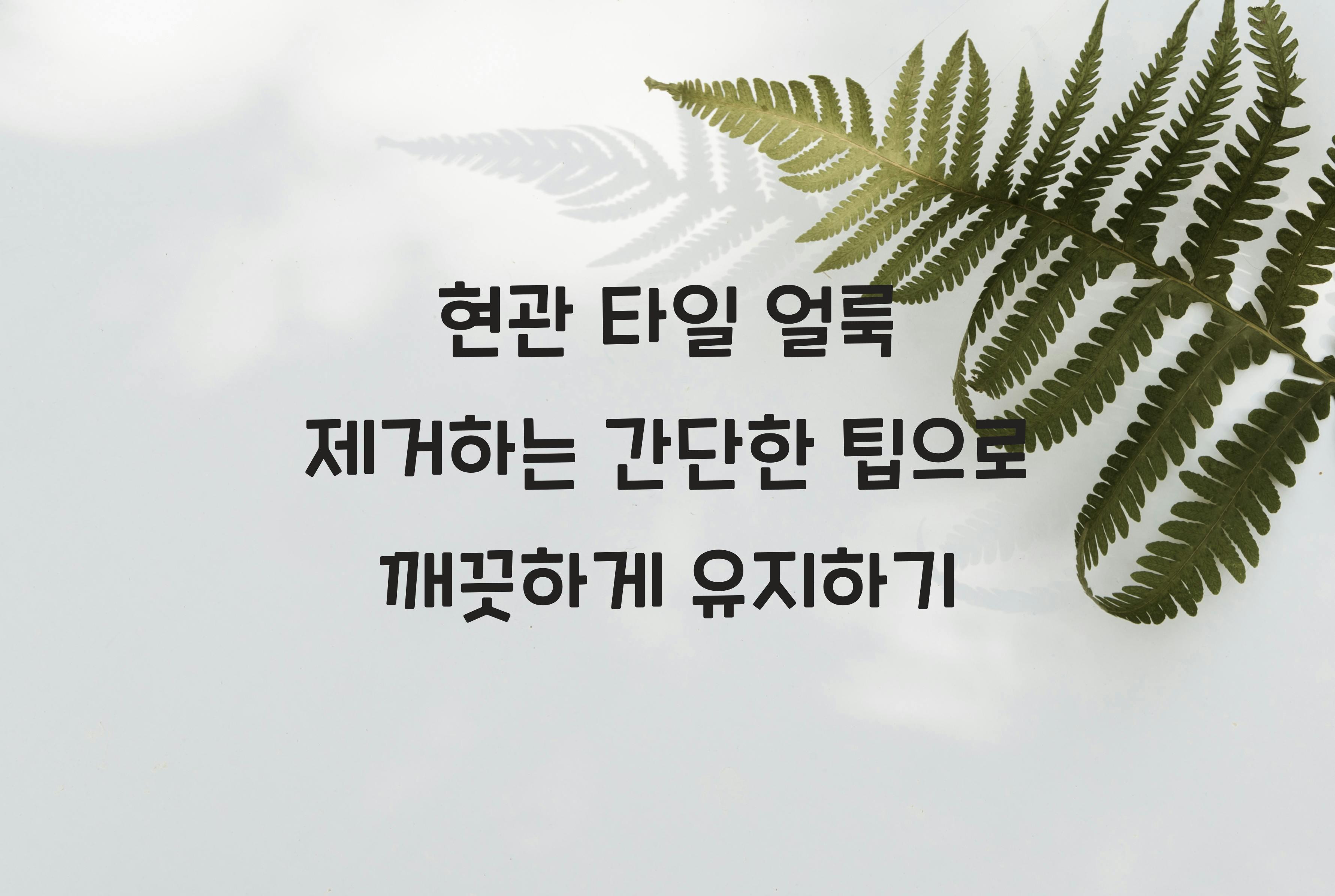 현관 타일 얼룩 제거하는 간단한 팁