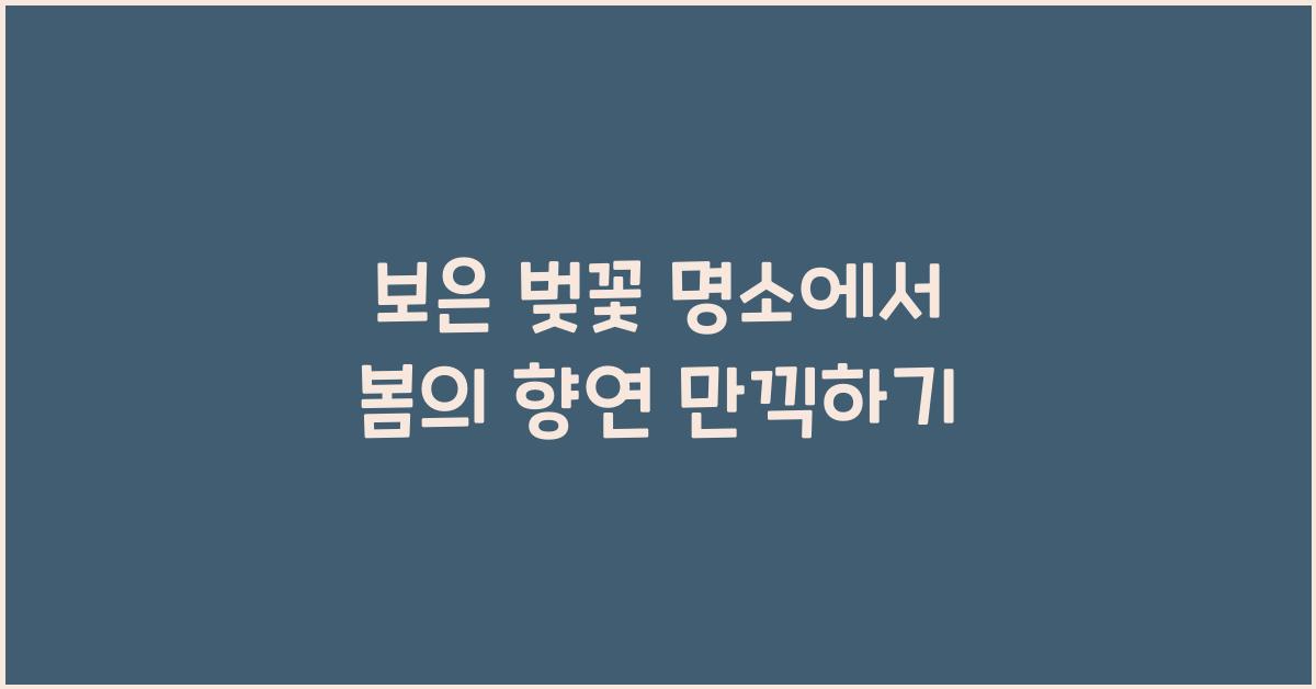 보은 벚꽃 명소