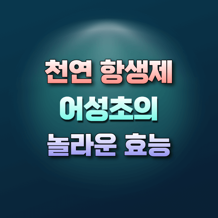 천연항생제어성초의효능