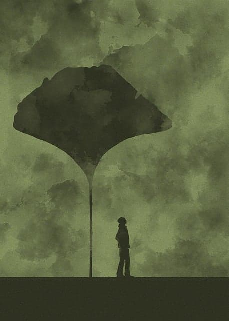 환경 보호 활동과 심리 치유