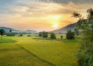 농민수당 신청 자격 및 신청 방법