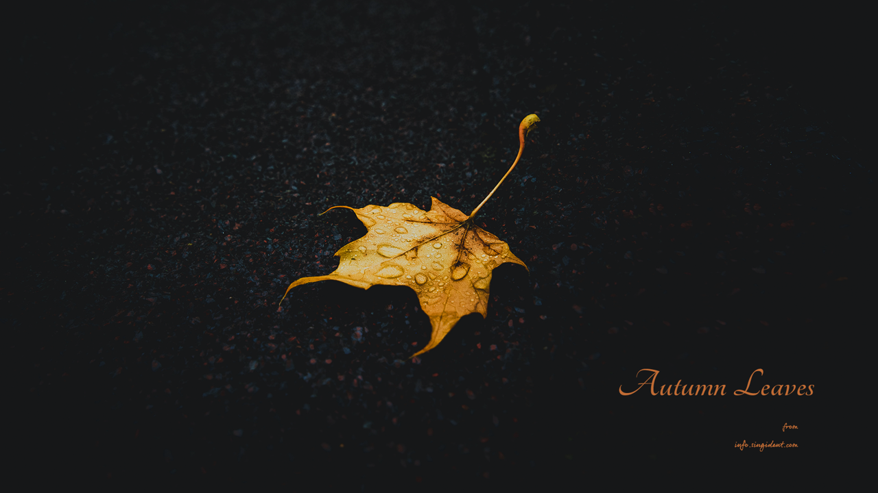 09 낙엽 C - Autumn Leaves 가을배경화면