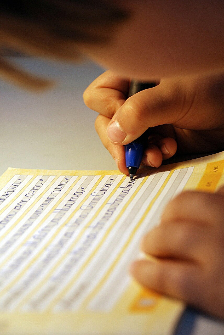 초등학교 취학통지서 발급 시기 총정리,온라인으로도 가능?