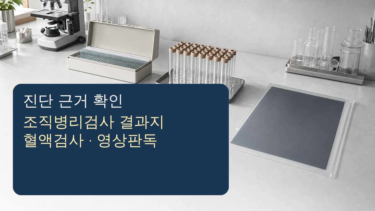 암 진단 방법에 따라 조직검사 혈액검사 영상검사 자료를 구분하는 이미지