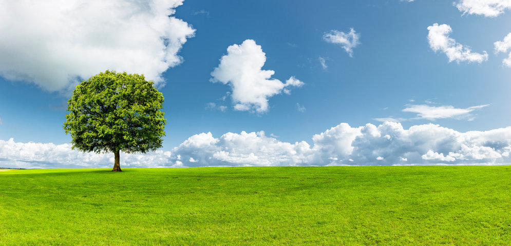 농촌 체류형 쉼터 조건