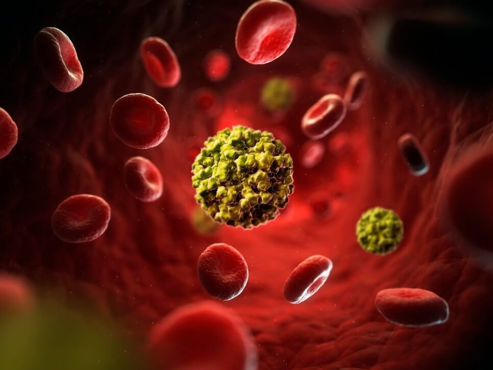 노로바이러스 장염 증상 및 예방법