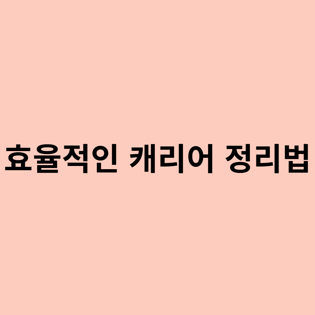 체크인 전 효율적인 캐리어 정리법