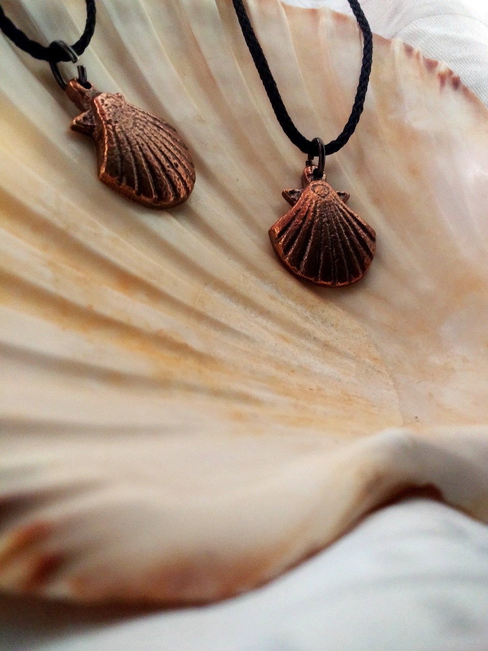 산티아고 순례길 관련 사진