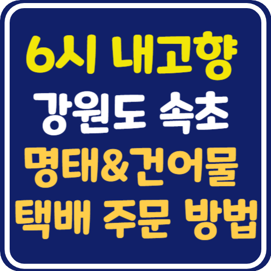6시 내고향 속초 명태 건어물 택배 주문 방법