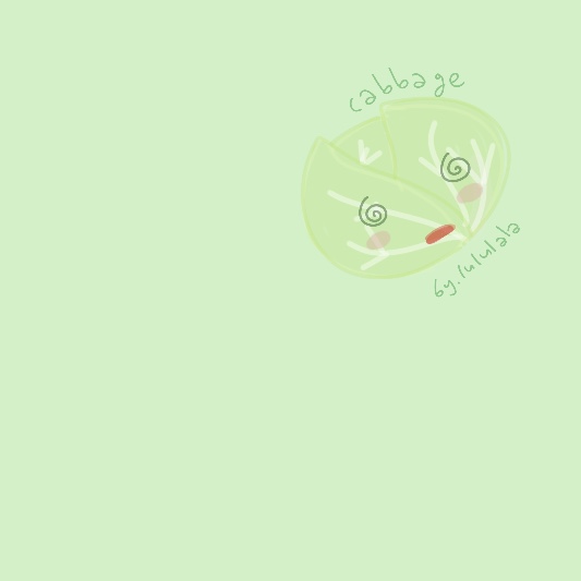 양배추의 효능과 부작용, 보관방법