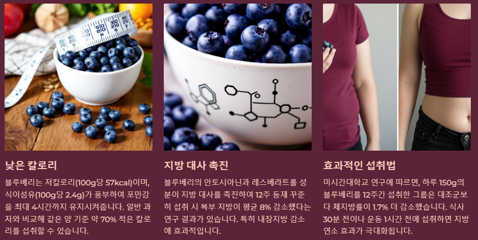 다이어트와 체지방 감소