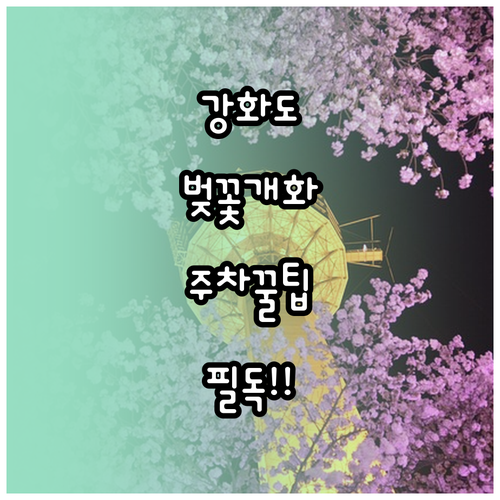 인천 강화군 벚꽃 개화 예상일과 주차..