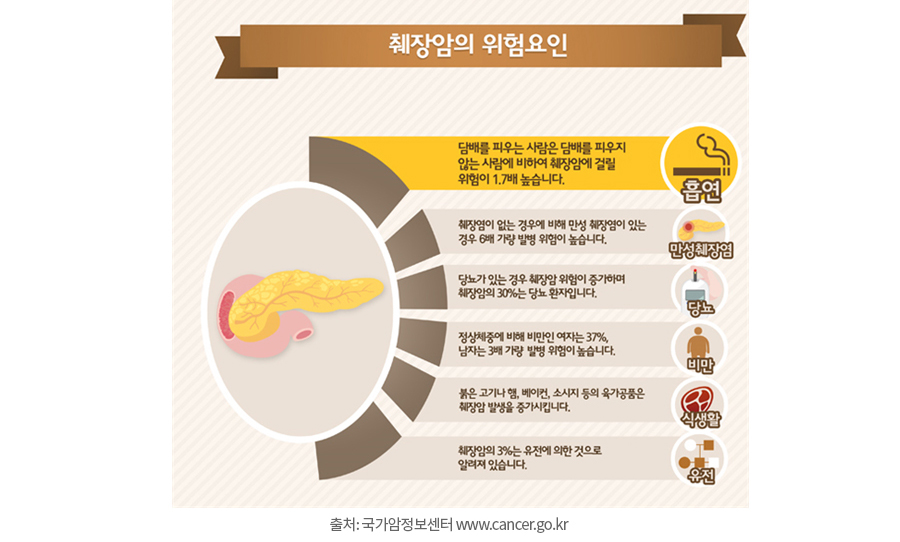 췌장암 의심 증상 여섯가지 발생원인 초기 의심 증상 검사방법 예방법