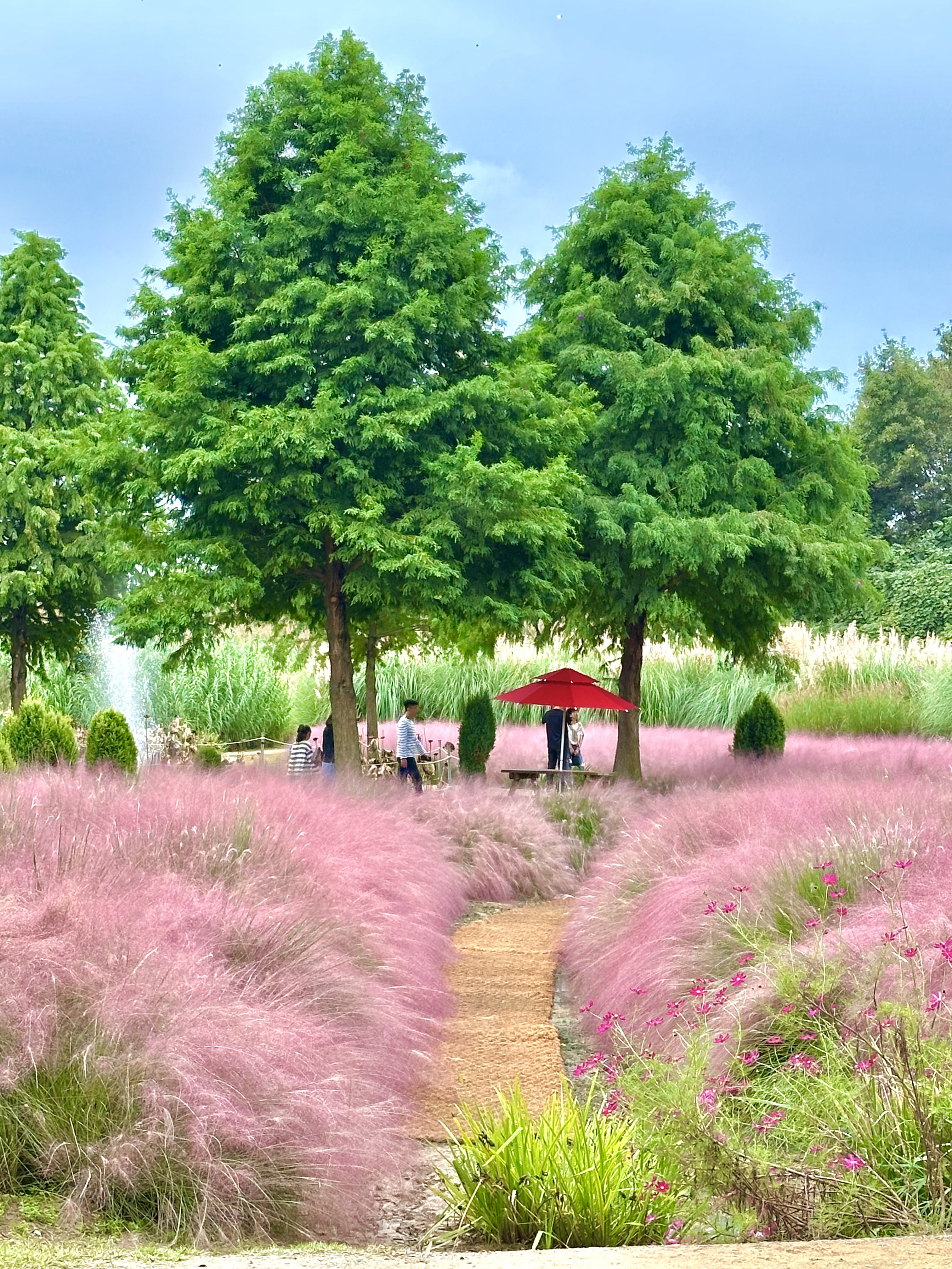 충남 태안 청산 수목원 애견동반 여행