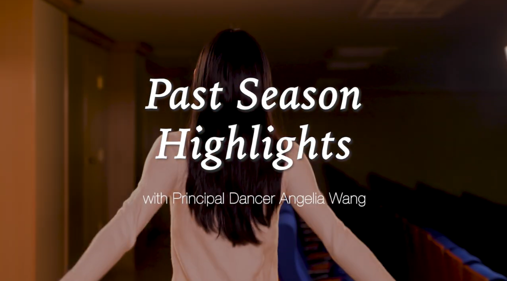 Angelia Wangj highlights