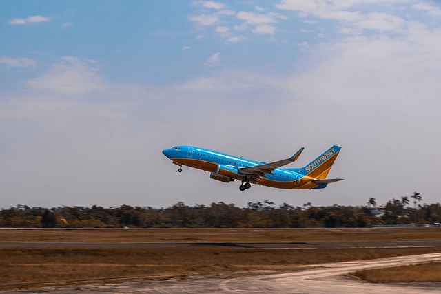 청주공항-베트남 다낭공항 운항 항공기 비행기 시간표 비행기표 예약 방법3