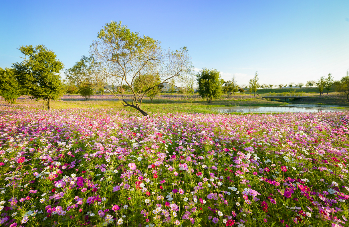 순천만 국제정원 박람회