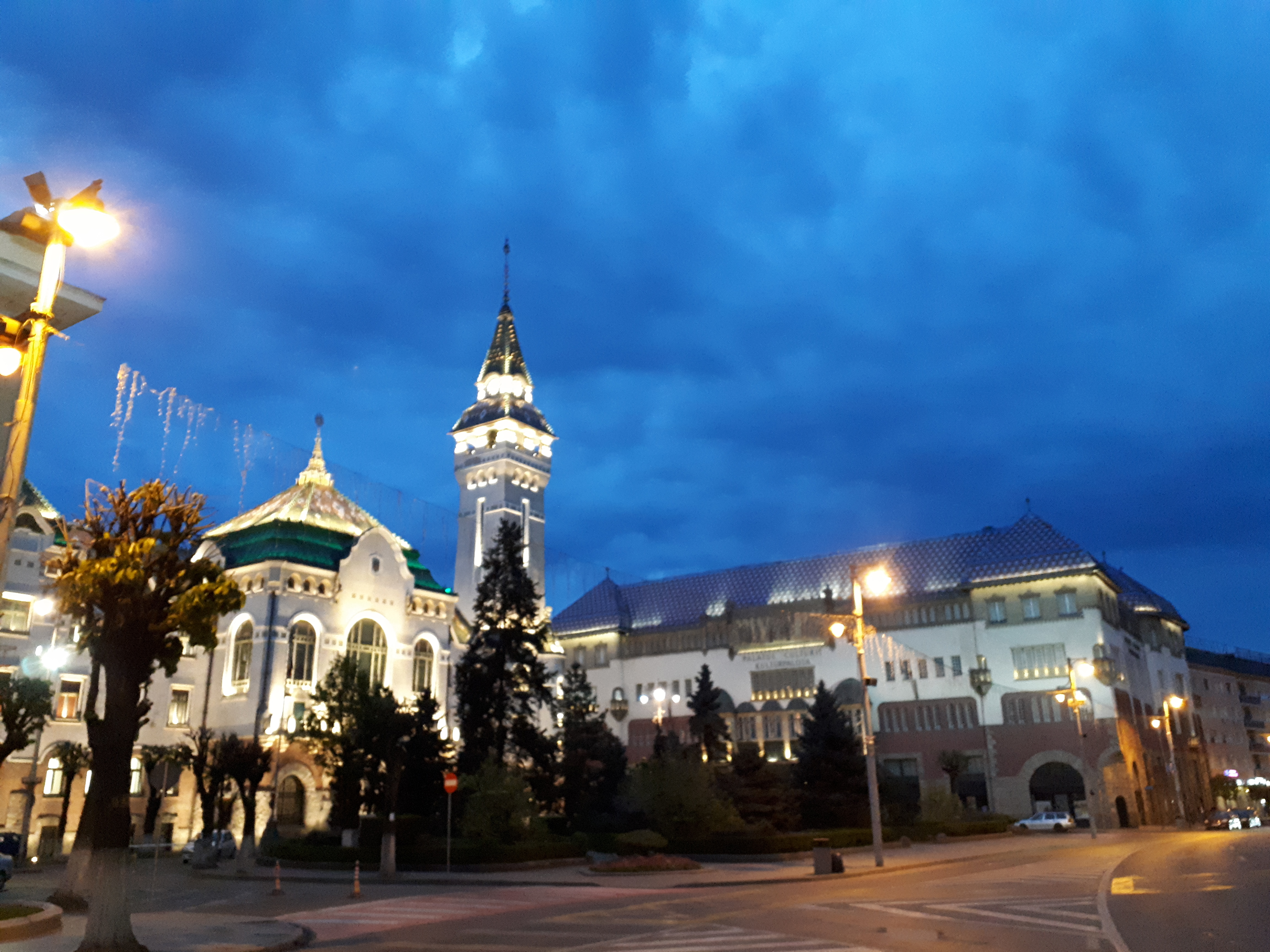 루마니아 트르구무레슈 장미 광장