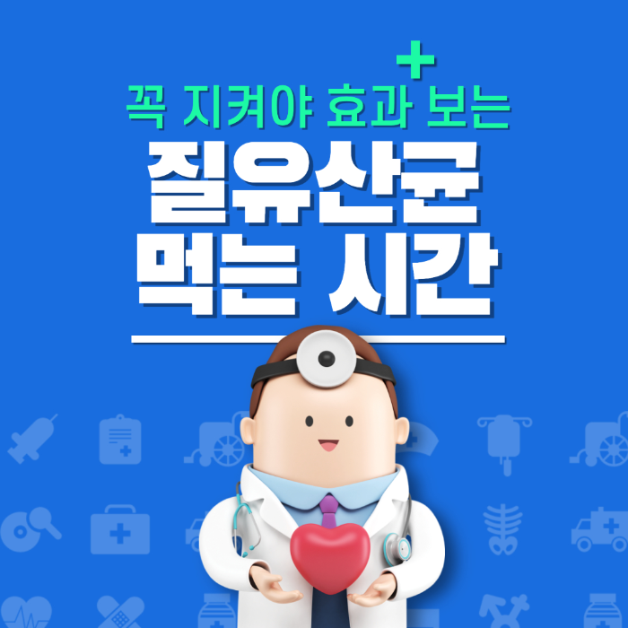 질유산균 먹는 시간