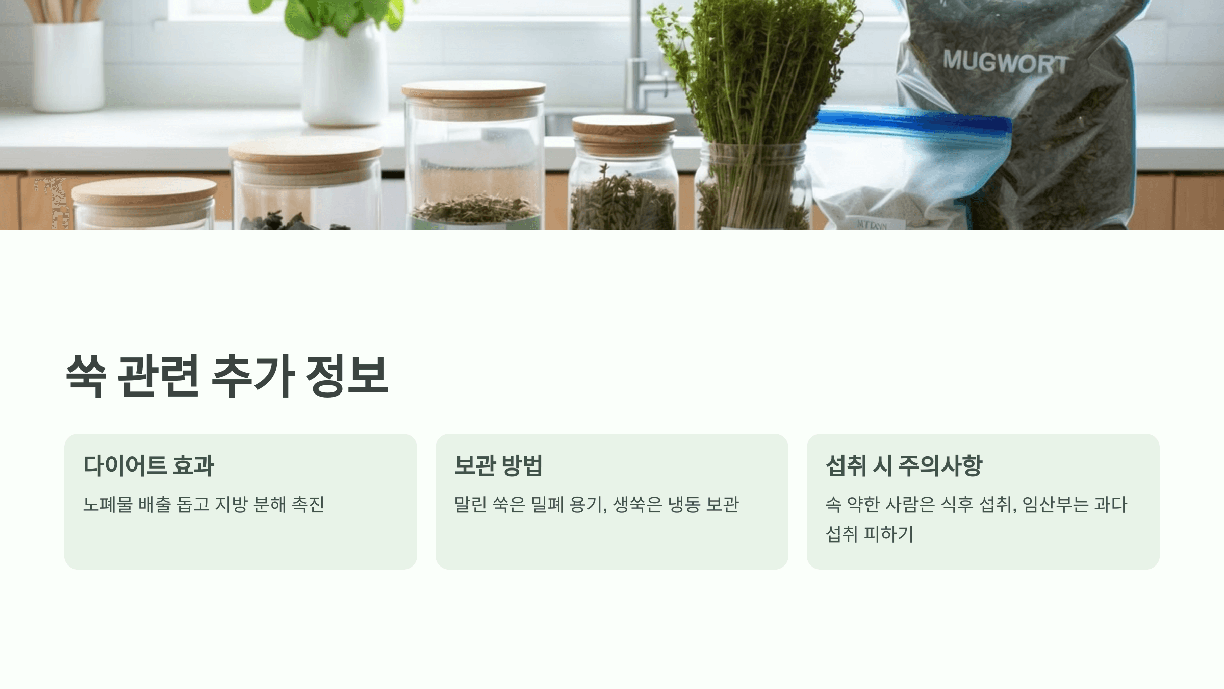 쑥 사진입니다.