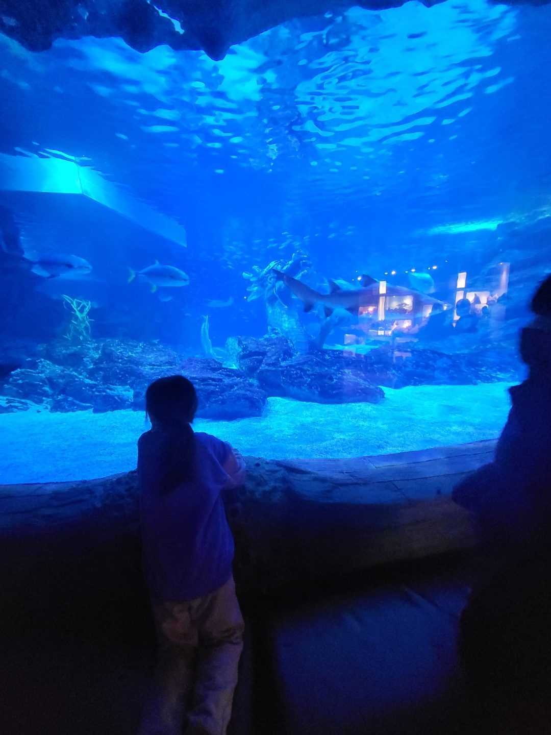 부산 아쿠아리움