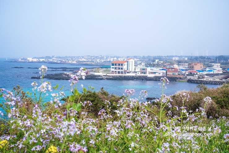 제주도 가볼만한곳 10곳