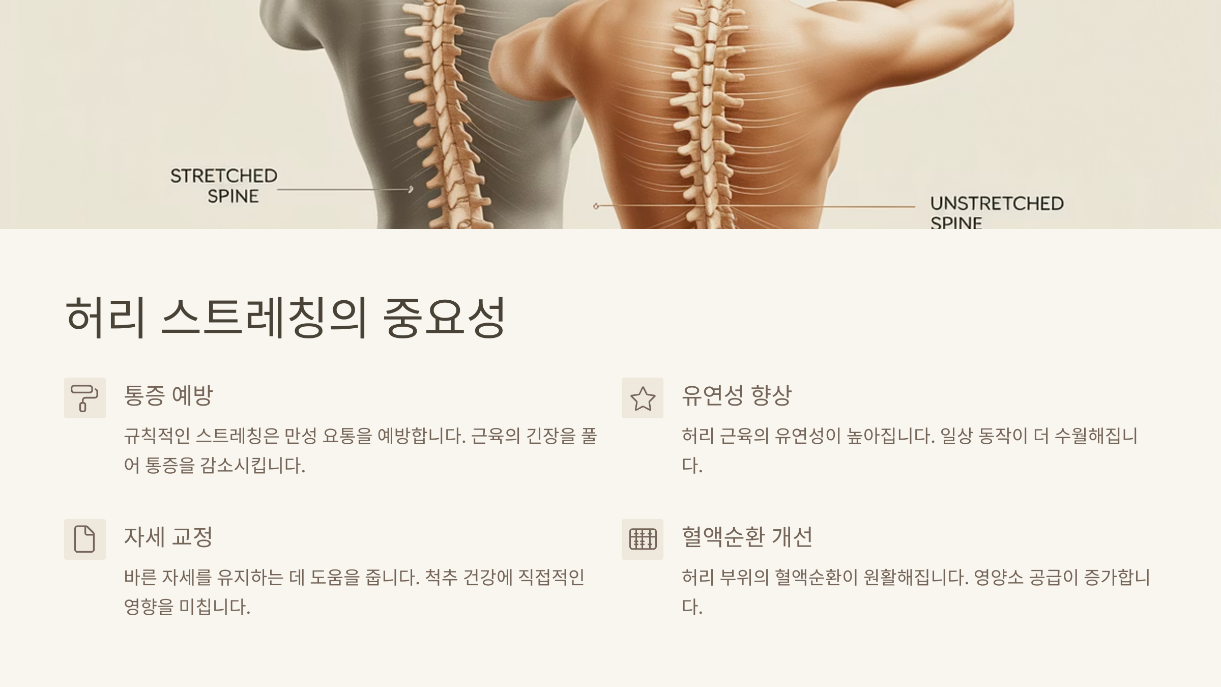 🔍 허리 스트레칭의 중요성
