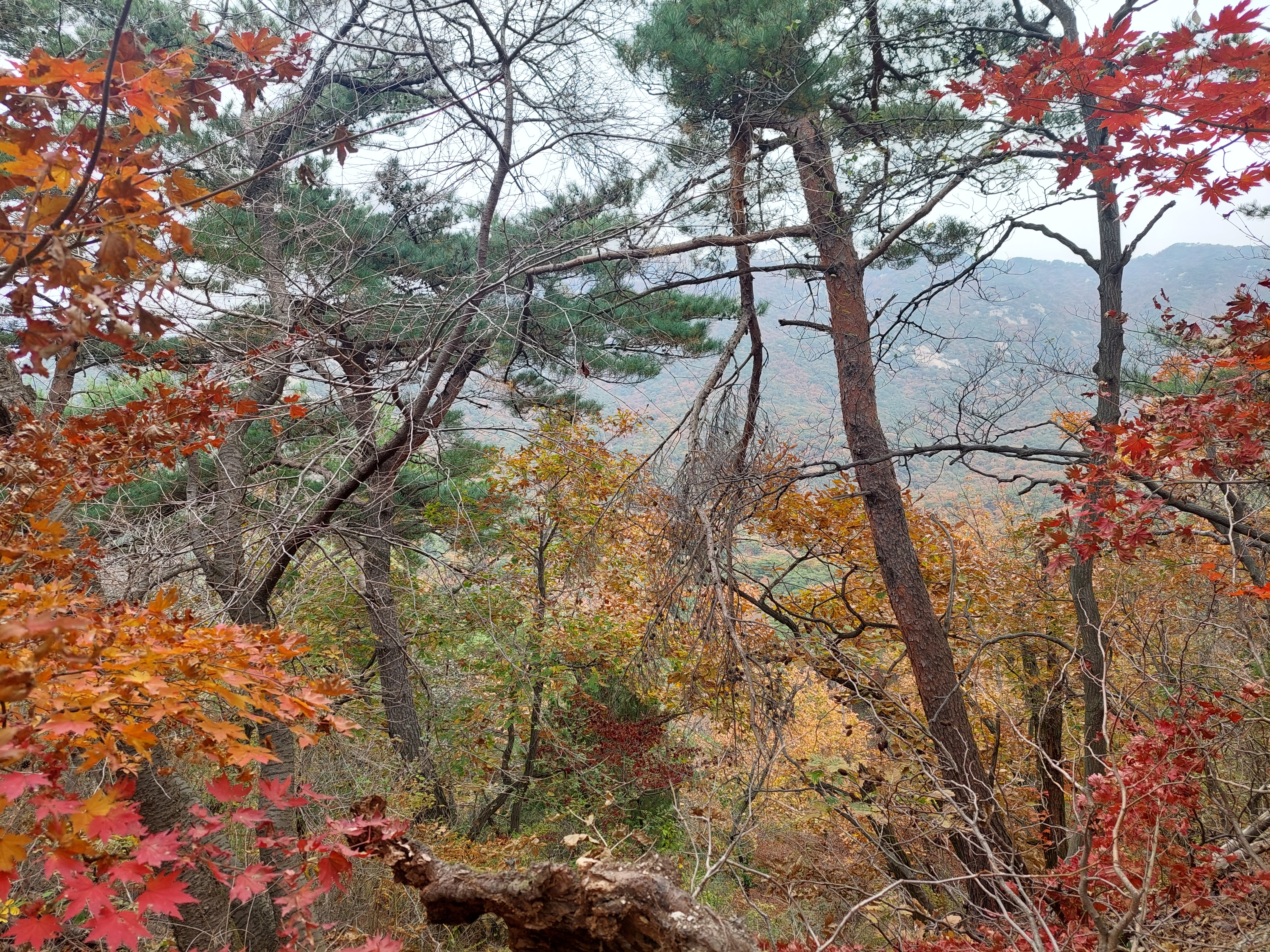 숨은벽