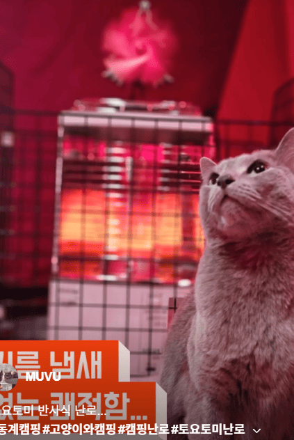 토요토미난로 후기