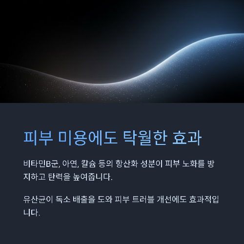 피부 탄력과 노화 방지에도 긍정적