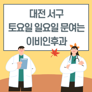 대전 서구 토요일 일요일 이비인후과 진료 병원 리스트