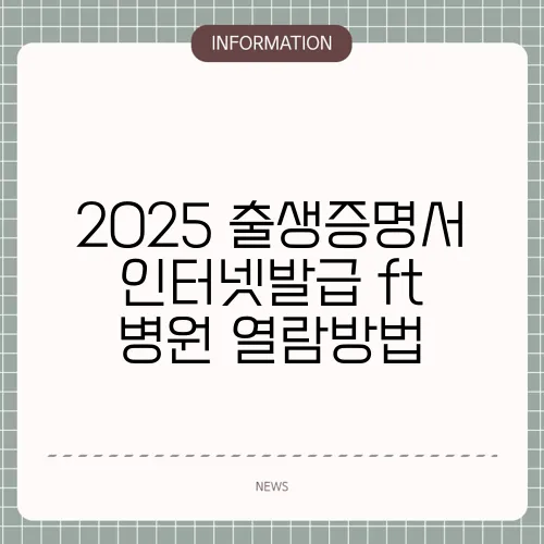 2025 출생증명서 인터넷발급 ft 병원 열람방법