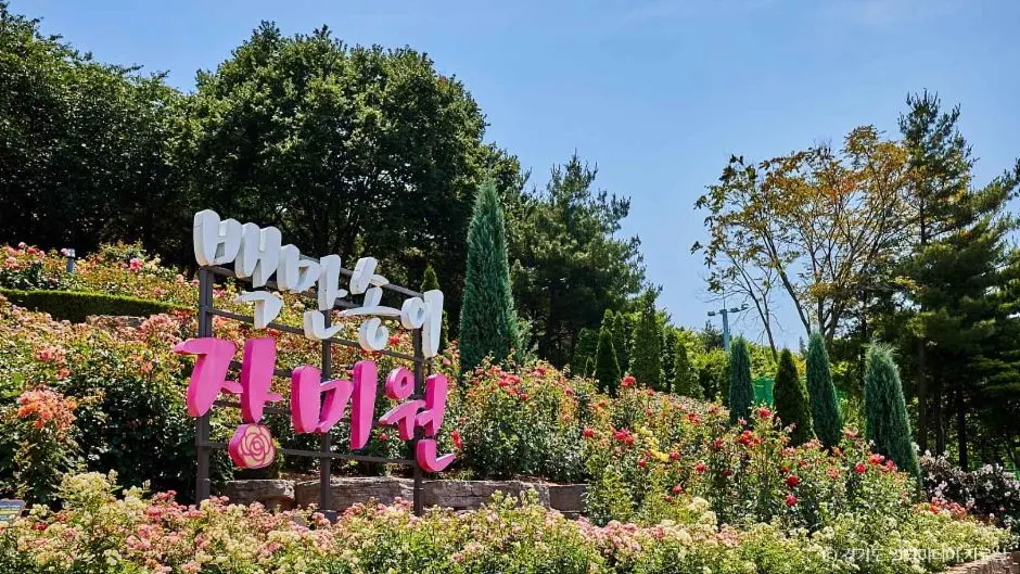 부천 백만송이장미축제