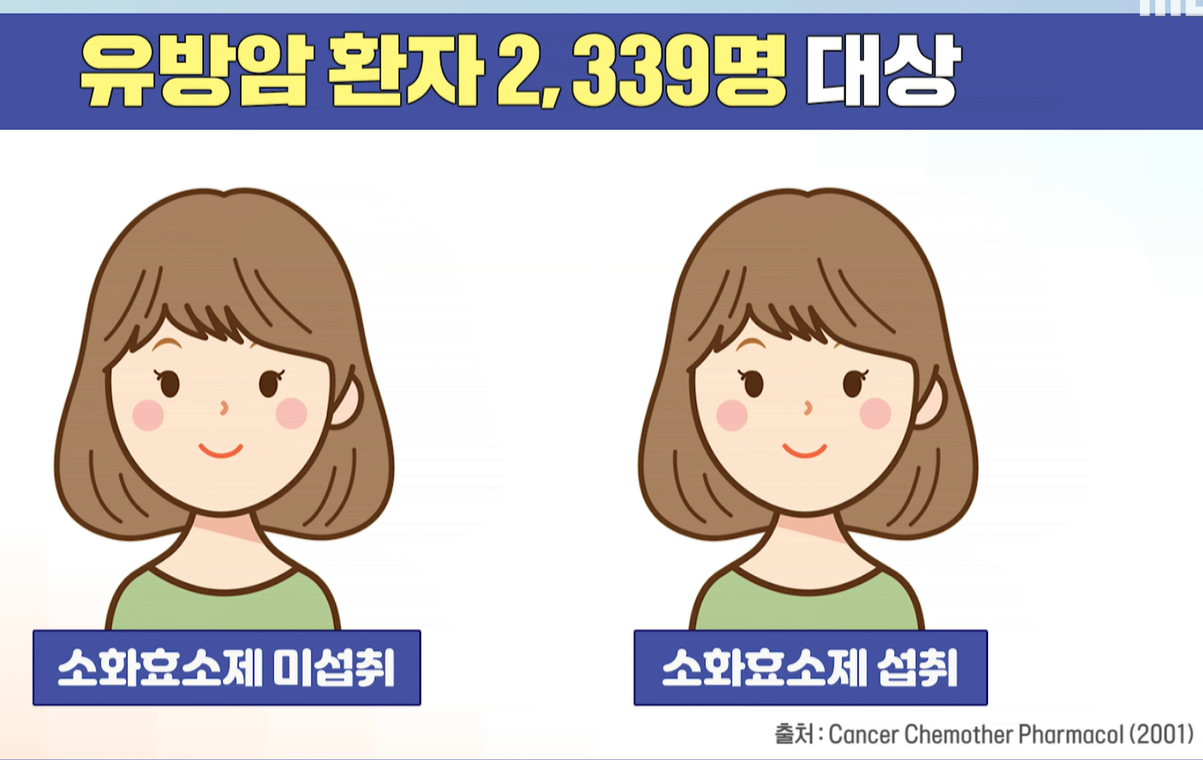 저분자 발효효소 효능