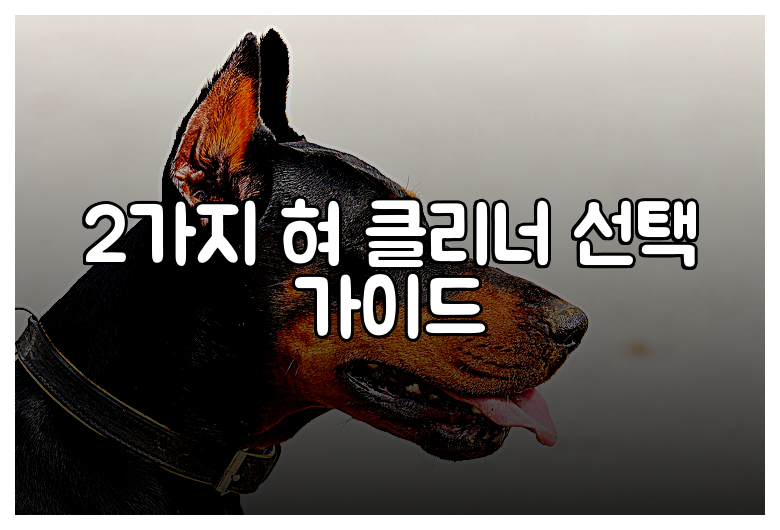 2가지 혀 클리너 선택 가이드
