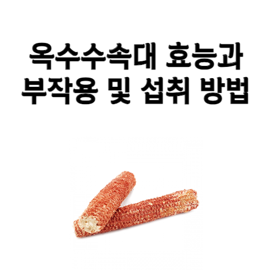 옥수수속대 효능과 부작용 및 섭취 방법