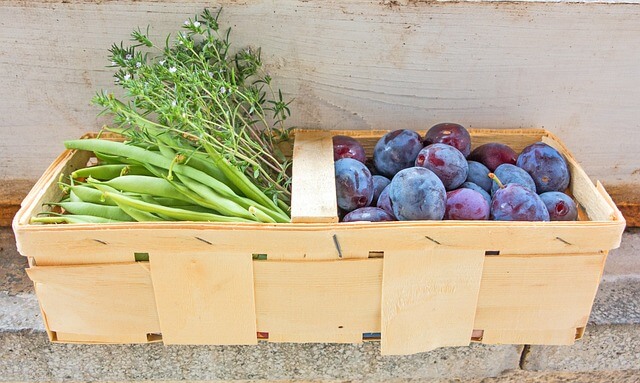 사과 인슐린 관계