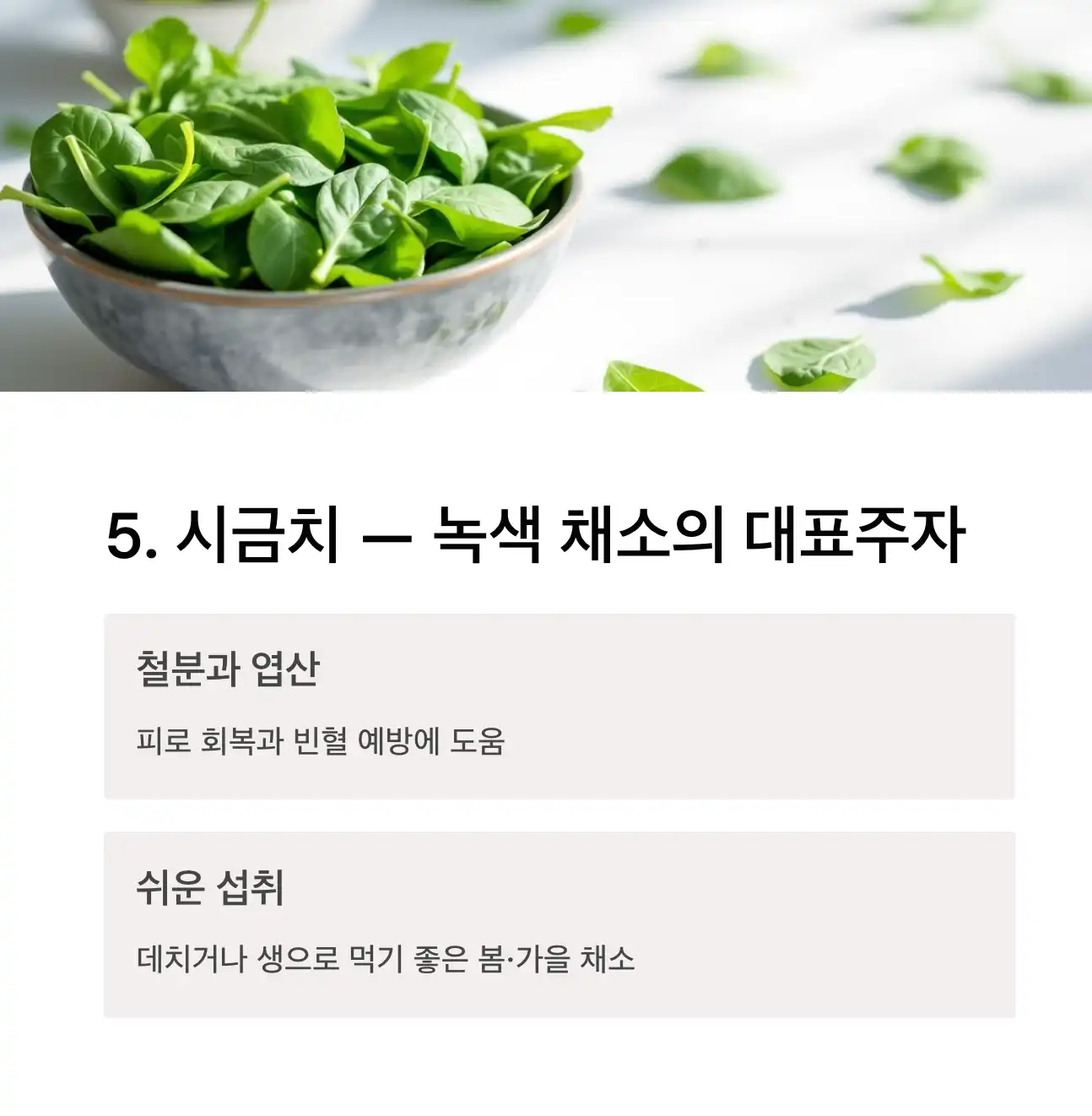 시금치 — 녹색 채소의 대표주자