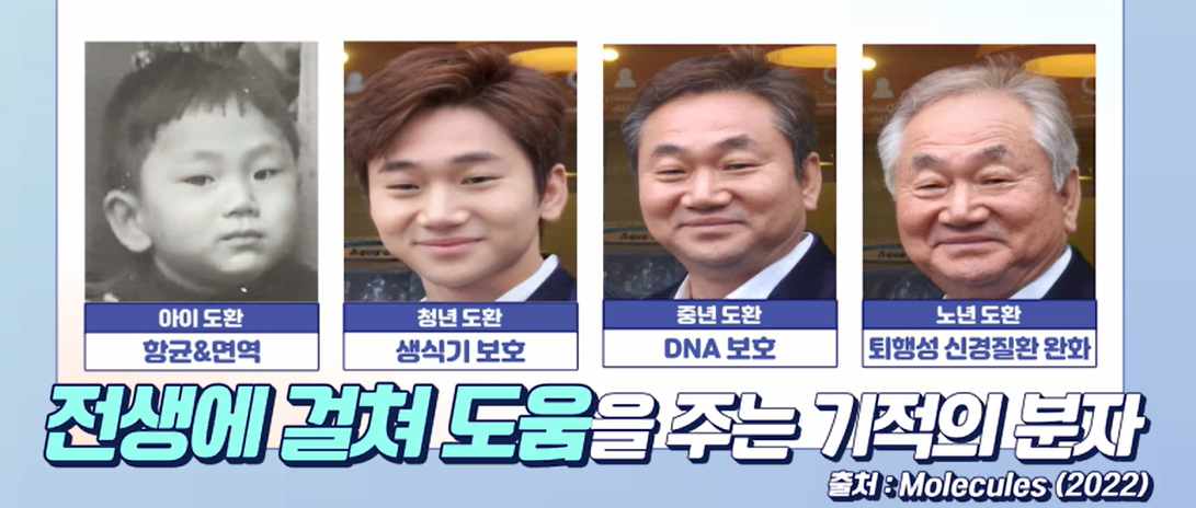 락토페린 효능