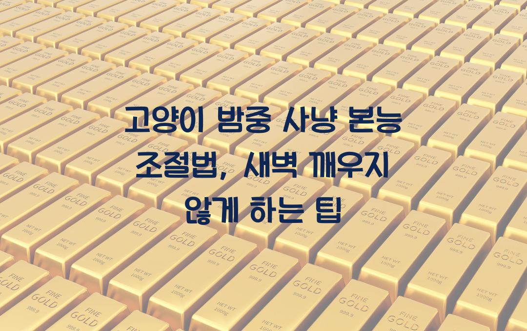 고양이의 밤중 사냥 본능 조절법, 새벽에 깨우지 않게 하는 팁