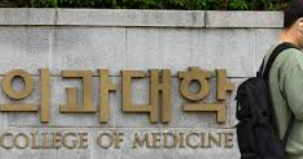 의대 증원 조정 문제의 장단점